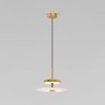 Подвесной светильник Eurosvet 40342 LED латунь