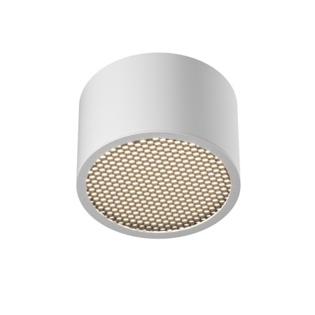 Влагозащищенный светильник Maytoni Technical C122CL-GX53-W