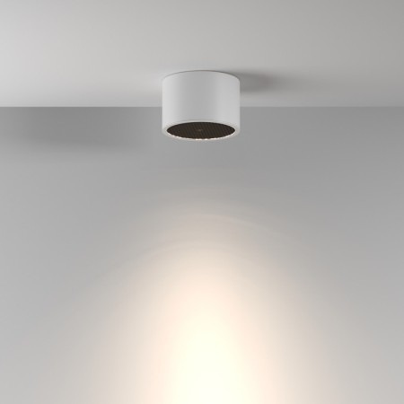 Влагозащищенный светильник Maytoni Technical C122CL-GX53-W