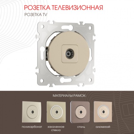 Розетка Arte Milano 202.43-1.shampan