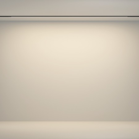 Светильник на шине Maytoni Technical TR180-1-24WTW-B