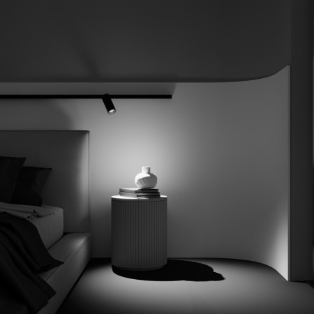 Светильник на шине Maytoni Technical TR032-2-20W2.7K-M-B