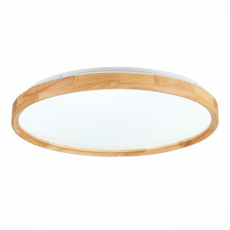 Накладной светильник Evoluce SLE201382-01