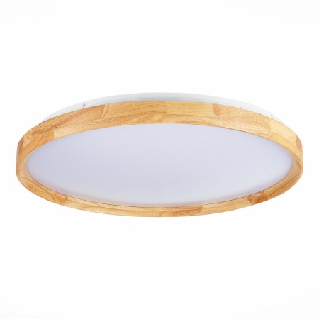 Накладной светильник Evoluce SLE201382-01