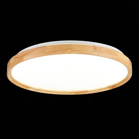 Накладной светильник Evoluce SLE201382-01