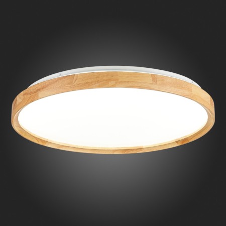 Накладной светильник Evoluce SLE201382-01