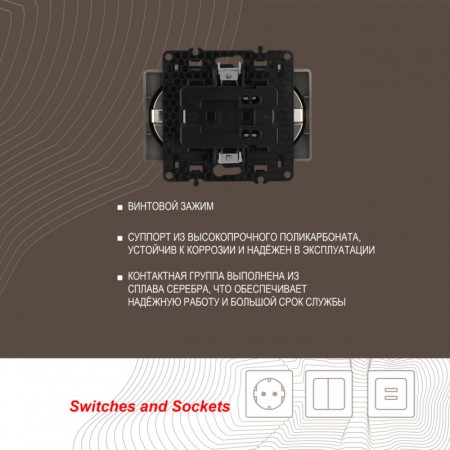 Розетка Arte Milano 217.40-2.shampan