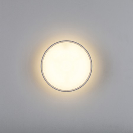 Накладной светильник Lightstar 215936