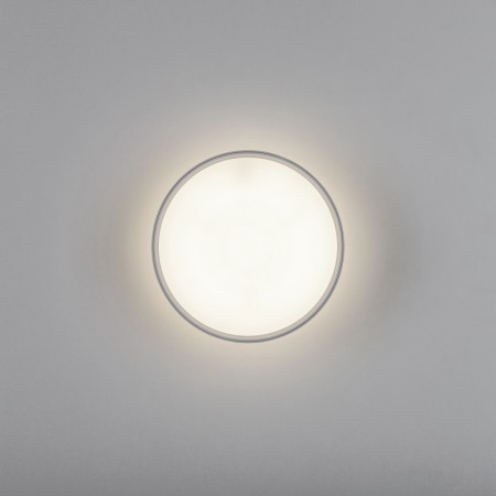 Накладной светильник Lightstar 215946