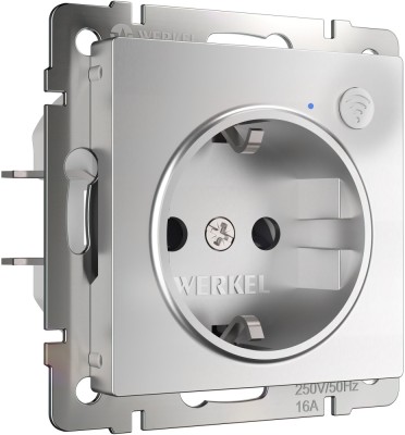 Розетка Встраиваемые механизмы серебряные W1171606