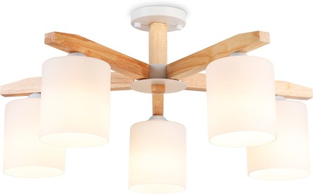 Потолочная люстра Traditional TR83113