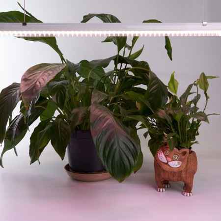 Светильник для растениеводства Feron 41354