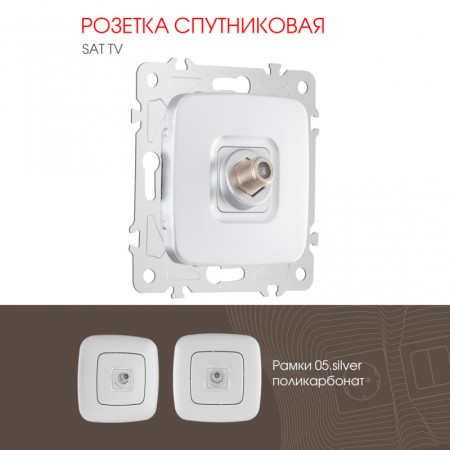 Розетка Arte Milano 205.42-1.silver