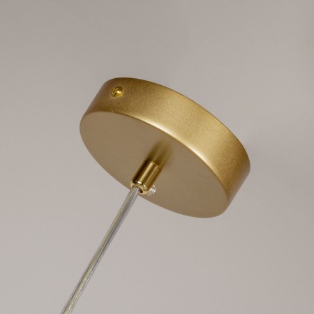 Подвесная люстра F-Promo 4059-4P