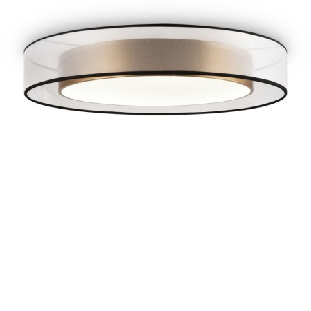 Накладной светильник Freya FR6005CL-L48G