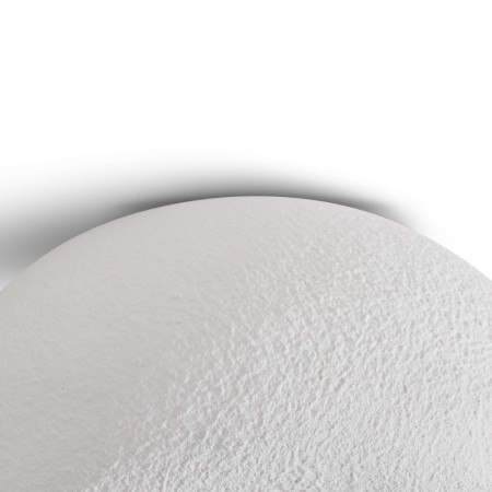 Накладной светильник Freya FR5428CL-01W