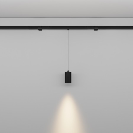 Светильник на шине Maytoni Technical C105PL-3W3-6K-B