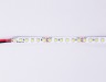 Светодиодная лента Illumination GS3101