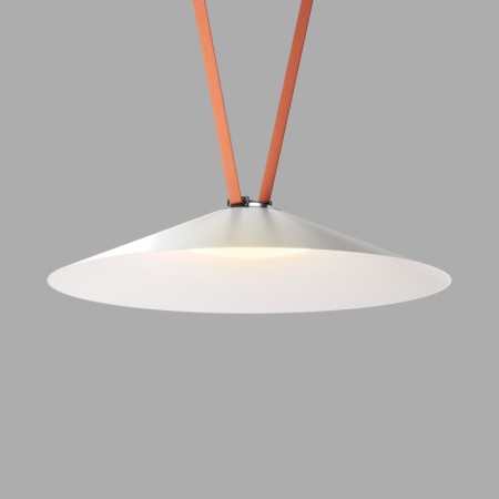 Светильник на шине Denkirs DK5569-WH+BK