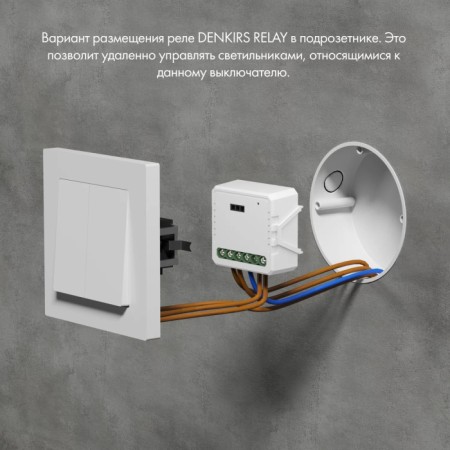 Wi-Fi реле Relay RL1003-DM