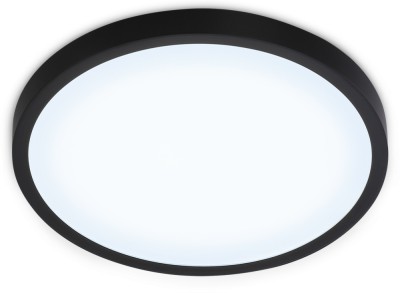 Потолочный светильник ORBITAL FZ1953