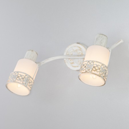 Спот Eurosvet 20025/2 белый с золотом