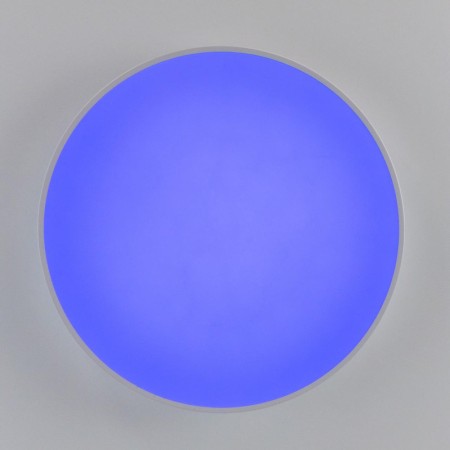 Накладной светильник Citilux CL72495G0