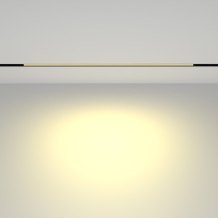 Светильник на шине Maytoni Technical TR030-2-24W2.7K-B