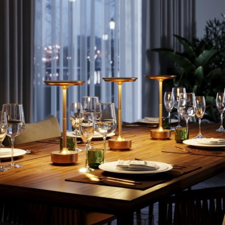 Интерьерная настольная лампа Tet-A-Tet 5033/6TL