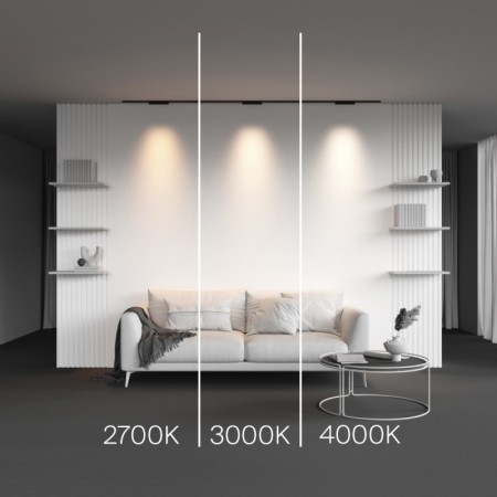 Светильник на шине Maytoni Technical TR193-1-10W4K-M-B