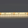 Светодиодная лента Lightstar 421004