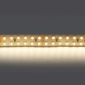 Светодиодная лента Lightstar 421504