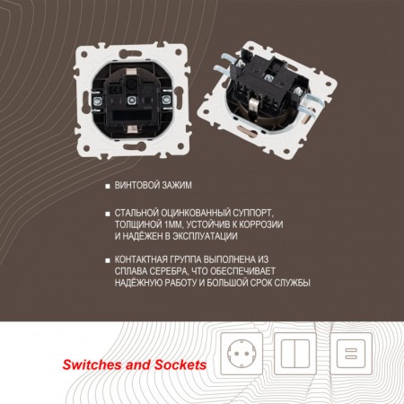 Розетка Arte Milano 205.41-1.shampan