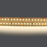Светодиодная лента Lightstar 422004