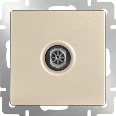 Розетка Встраиваемые механизмы шампань W1183011