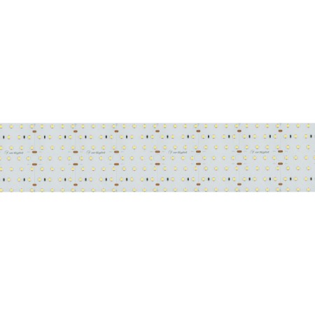 Лента Arlight 023408