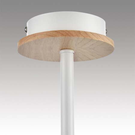 Люстра на штанге LUMION 8246/5C