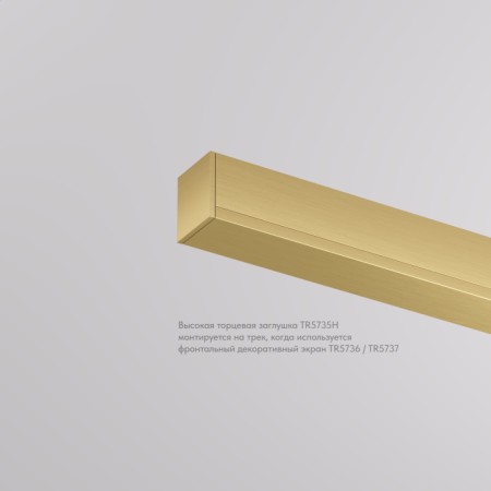 Заглушка SHINE BASE TR5735H-SB