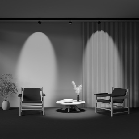 Светильник на шине Maytoni Technical TR217-4-15WTW-DS-B