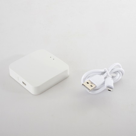 WI-FI конвертер Crystal Lux CLT 0.203 12