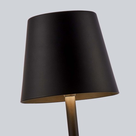 Настольная лампа F-Promo 4615-1T