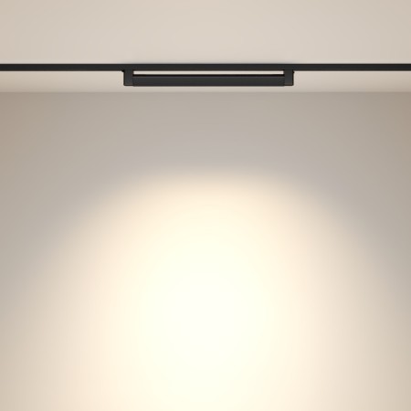 Светильник на шине Maytoni Technical TR010-1-20W3K-M-B