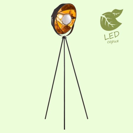 Торшер Lussole GRLSP-0556