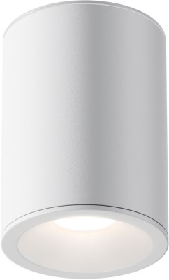 Потолочный светильник уличный Zoom C029CL-01W