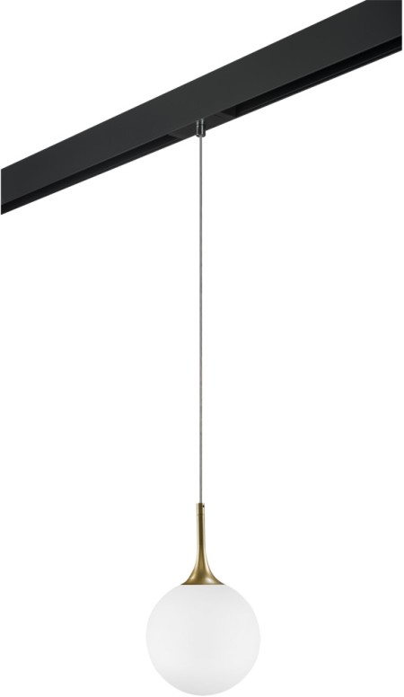 Трековый светильник Globo PRO813022