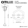 Садово-парковый светильник Citilux CLU10B
