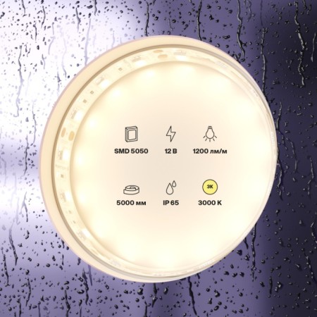 Светодиодная лента Светодиодная лента 12В 10131