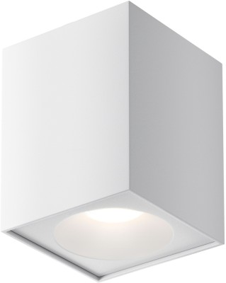 Потолочный светильник уличный Zoom C030CL-01W