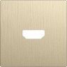 Клавиша/Накладка Werkel WL10-HDMI-CP шампань рифленый