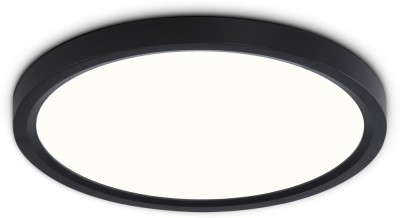 Потолочный светильник ORBITAL FZ1904